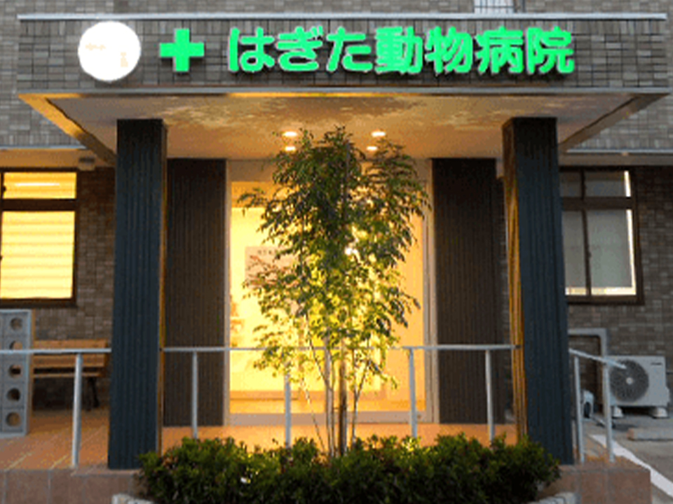 LED看板