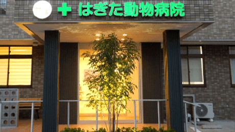 LED看板